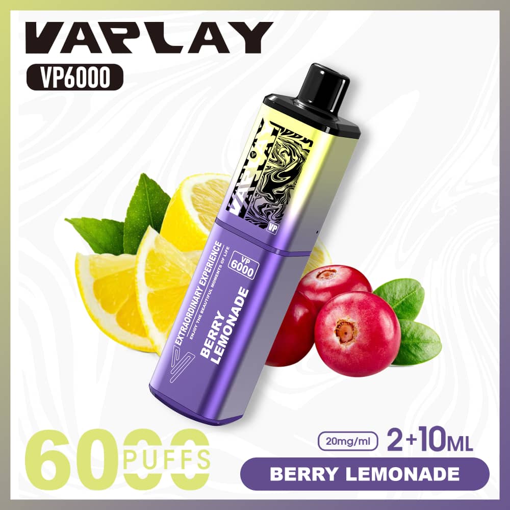 Vaplay VP6000 Disposable Vape 