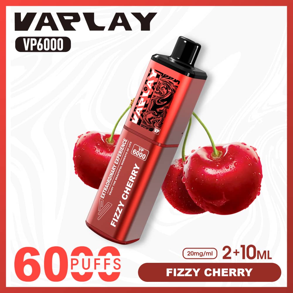 Vaplay VP6000 Disposable Vape 