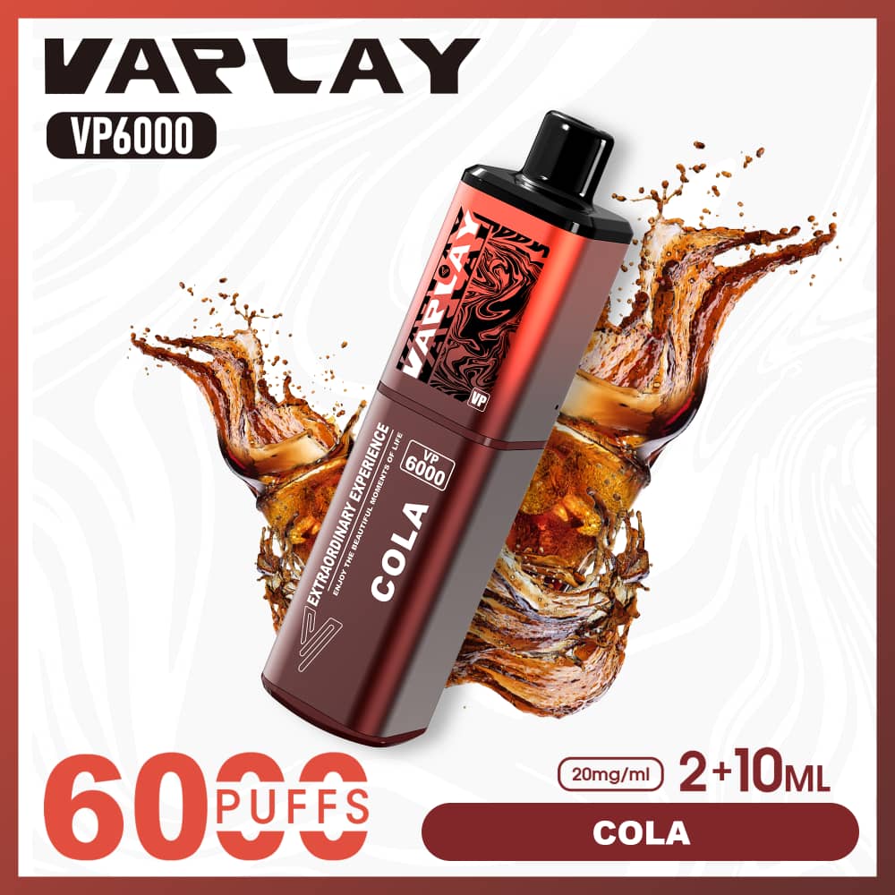 Vaplay VP6000 Disposable Vape 